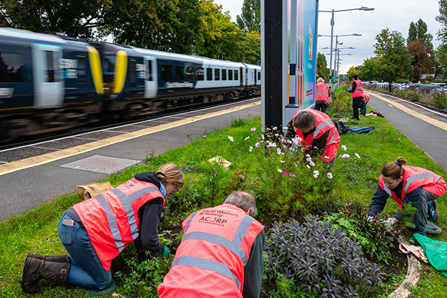 People weeding flower bed at station