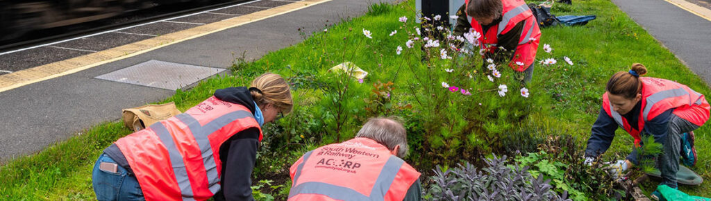 People weeding plants